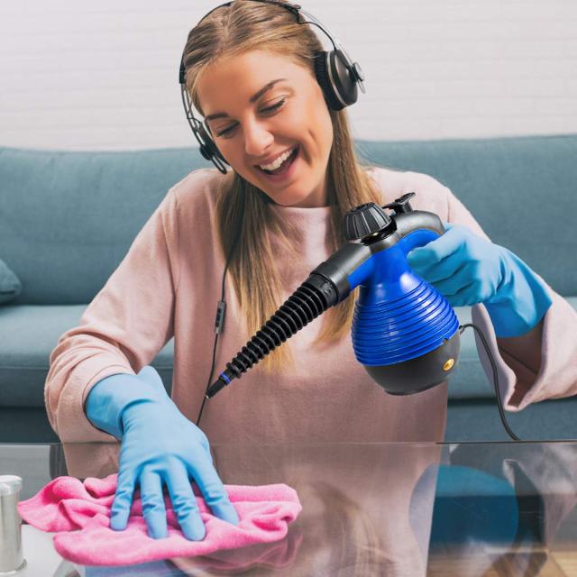 ARLIME Handheld Pressurized Steam Cleaner, Multi-Purpose Steamer, Steam Iron, 1050W, W/Attachments