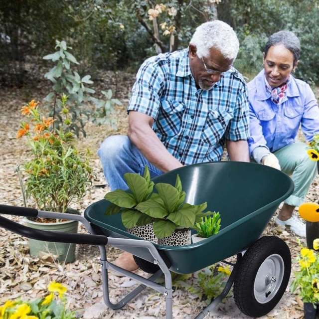 Dual-Wheel Wheelbarrow, 330lb Capacity Heavy Duty Garden Cart with Pneumatic Tires & Easy-Dump for Lawn, Farm & Construction