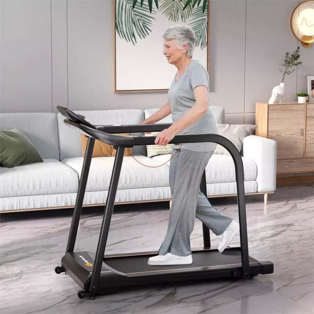 2.5 HP Walking Treadmill for Seniors with Long Handrails, Pulse Sensors, LED Display, 300 lbs Capacity, Recovery Fitness Exercise Machine for Home