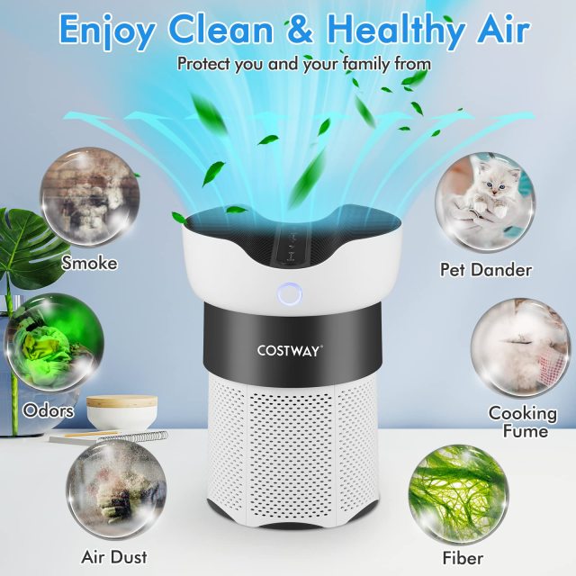 ARLIME Air Purifier for Home Office up to 1300 Sq Ft H13 True HEPA Filter