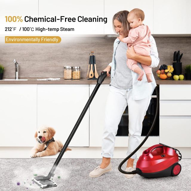 ARLIME 2000W Multipurpose Steam Cleaner with 19 Accessories, Household Steamer with 1.5L Tank for Cleaning
